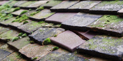 Wilden roof repair costs